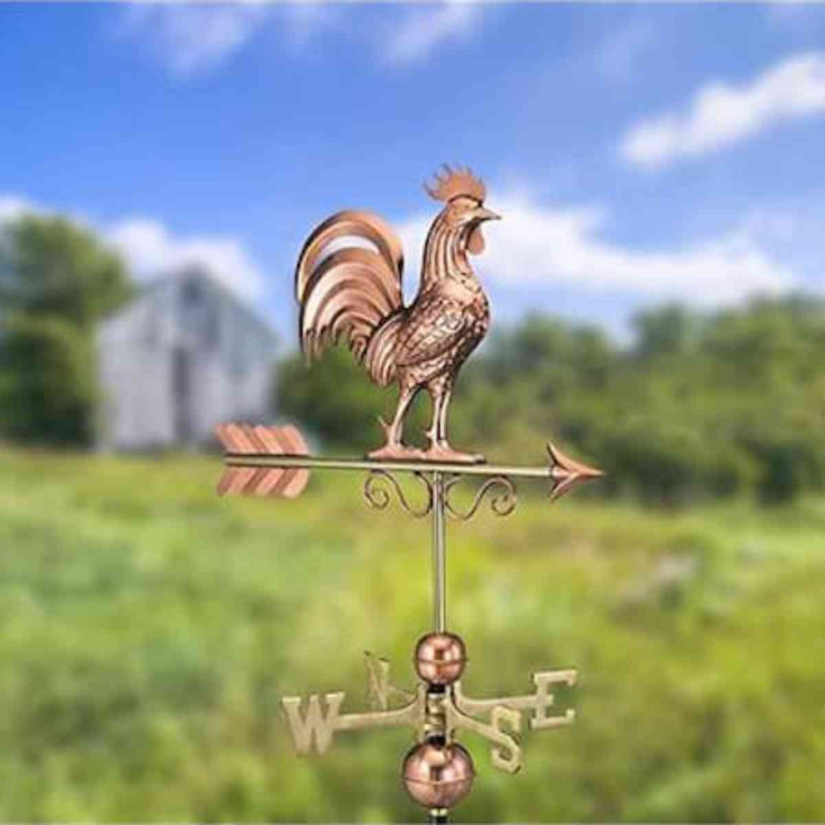 bantam rooster weathervane field picture